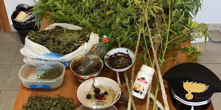 I carabinieri di Uta hanno arrestato un puscher per coltivazione e detenzione di sostanza stupefacente ai fini di spaccio