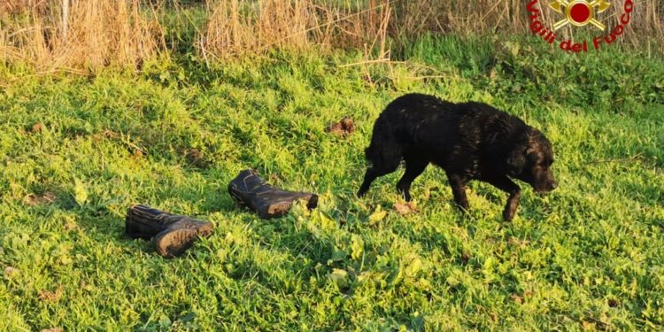 Aggius: i vigili del fuoco salvano un labrador