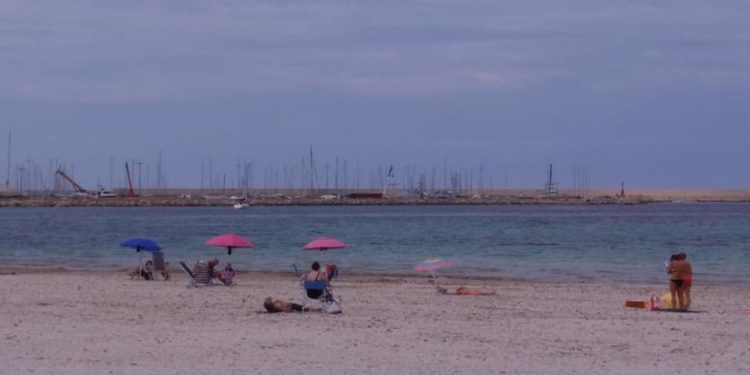 Alghero, alghe nella passeggiata Barcellona. Giovanni Monti (Gruppo Misto): «Il centrosinistra ha distrutto il litorale con interventi sperimentali»