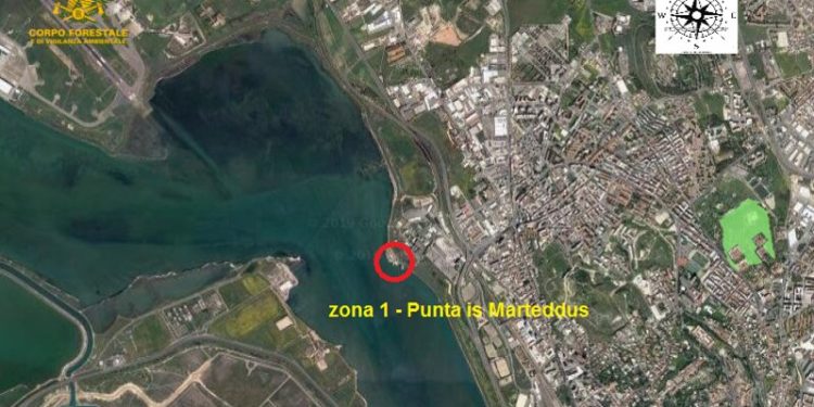 Stagno di Santa Gilla: la Forestale sequestra l’area della sponda Est