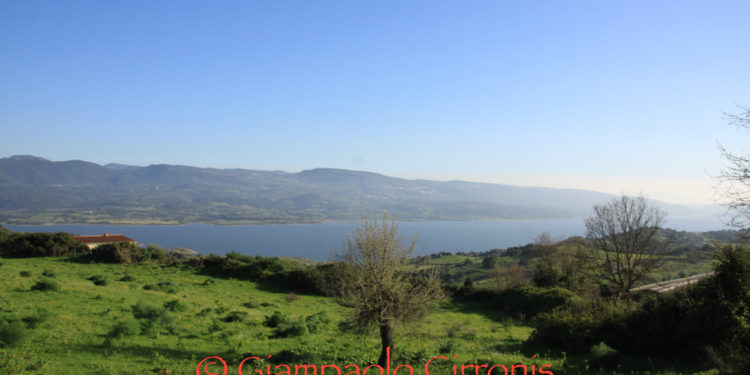 Interrogazione del M5S in Parlamento per chiedere la bonifica del territorio intorno al Lago Omodeo