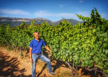 Gambero Rosso 2021: la Vernaccia di Oristano Doc Riserva 1968 è Tre Bicchieri