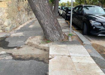 Cagliari, previsto l’abbattimento di un pino d’Aleppo. Il Comune: «Motivi di sicurezza»
