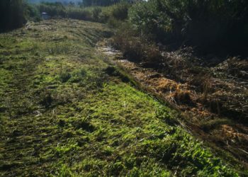 Alghero: inizia i lavori di pulizia degli alvei di fiumi e canali