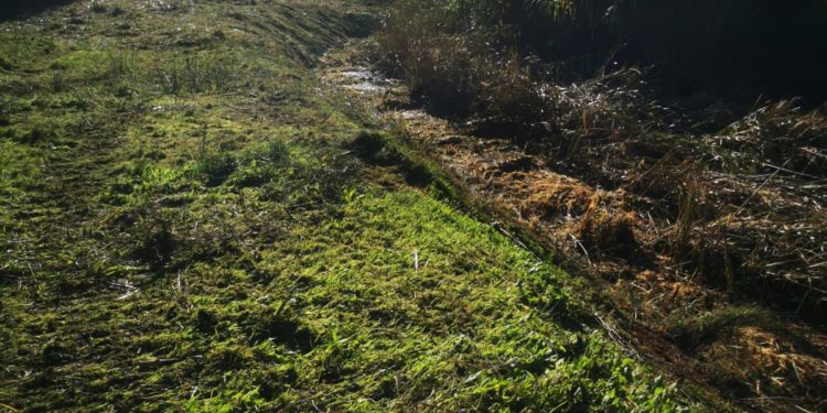 Alghero: inizia i lavori di pulizia degli alvei di fiumi e canali