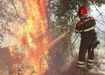 1 dei 2 incendi sviluppatisi oggi in Sardegna, ha richiesto l’intervento del mezzo aereo del Corpo forestale