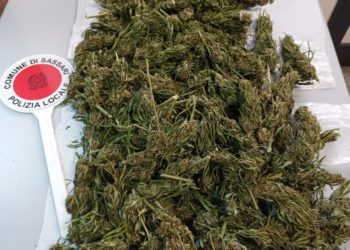 Sassari: trovato in possesso di marijuana, arrestato un 45enne