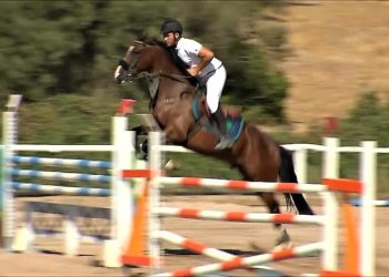 Golfo Aranci-Porto Rotondo: dal 16 al 18 ottobre i campionati regionali sardi di salto a ostacoli