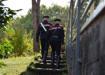 Un allevatore 69enne di Burcei è stato denunciato in stato di libertà dai carabinieri per “pascolo abusivo”