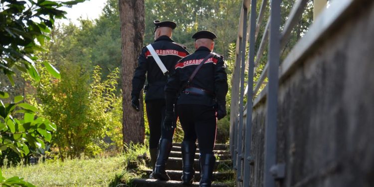 Un allevatore 69enne di Burcei è stato denunciato in stato di libertà dai carabinieri per “pascolo abusivo”