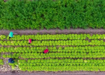 Come nasce un film? Ecco la lezione del regista Paolo Zucca