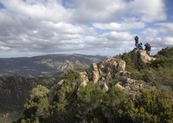 È durato circa tre mesi il corso di secondo livello, il primo tenuto in Sardegna, dedicato alla formazione di 13 assistenti/accompagnatori di Birdwatching