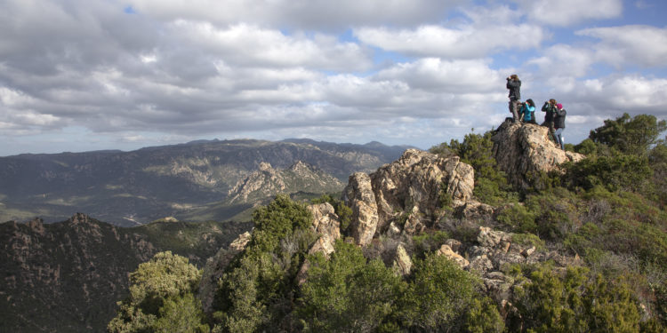 È durato circa tre mesi il corso di secondo livello, il primo tenuto in Sardegna, dedicato alla formazione di 13 assistenti/accompagnatori di Birdwatching