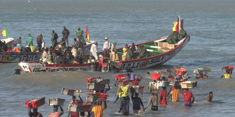 Fiorenzo Serra Film Festival, il primo premio va in Brasile e Senegal