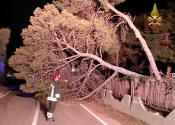 Villasimius:  alberi caduti sulla strada, sul posto i vigili del fuoco