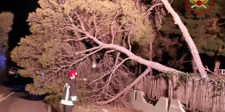 Villasimius: alberi caduti sulla strada, sul posto i vigili del fuoco