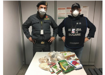 I funzionari dell’Agenzia delle Dogane e Monopoli in servizio ad Alghero hanno sequestrato 21 buste di semi vegetali