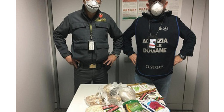 I funzionari dell’Agenzia delle Dogane e Monopoli in servizio ad Alghero hanno sequestrato 21 buste di semi vegetali