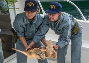 Laguna di Nora: il Corpo forestale libera una tartaruga