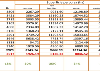 Campagna antincendi 2020, l’assessore regionale Gianni Lampis ha presentato il resoconto. Medaglia d’oro ad Alessandro Diana di Pabillonis