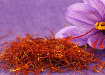 E’ stato presentato a San Gavino Monreale il progetto “Le Strade dello Zafferano di Sardegna DOP”