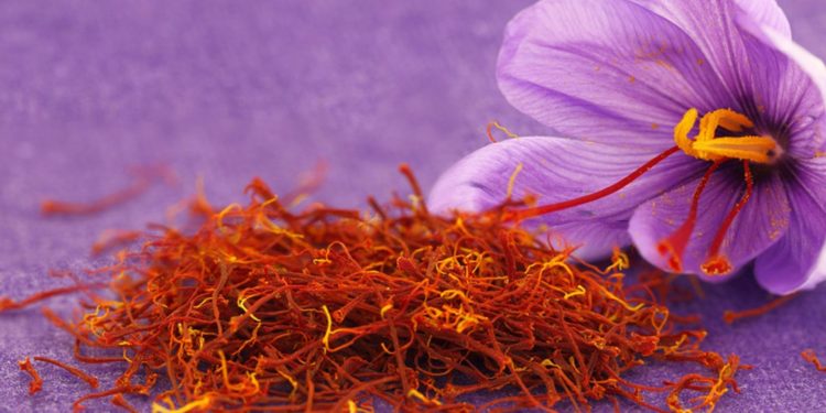 E’ stato presentato a San Gavino Monreale il progetto “Le Strade dello Zafferano di Sardegna DOP”