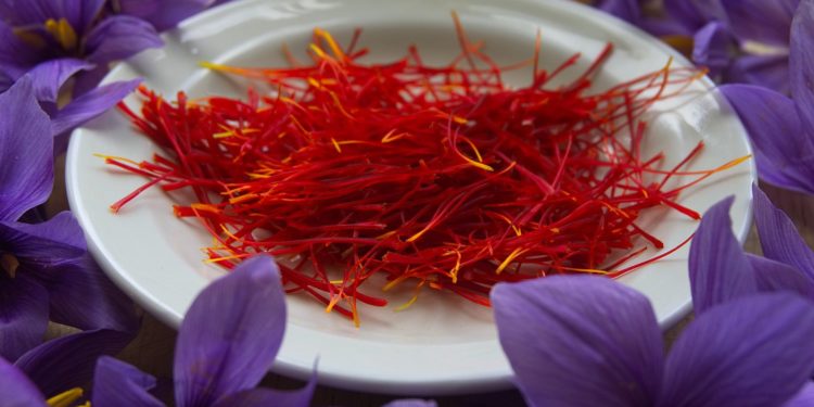 Zafferano di Sardegna DOP: una certificazione per portare la Sardegna fuori dalla crisi