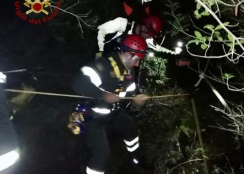 Armungia: tre cani cadono in un pozzo naturale, li salvano i vigili del fuoco