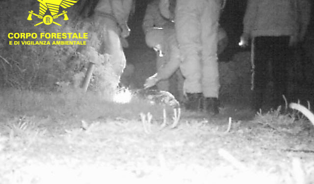 3 pescatori professionisti sono stati denunciati dal Corpo forestale, sorpresi a catturare illegalmente pesci nei canali all’interno del Parco di Molentargius