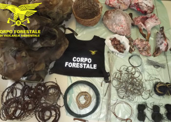 Il Corpo forestale ha denunciato due bracconieri intenti a catturare cervi e cinghiali nel parco di Gutturu Mannu