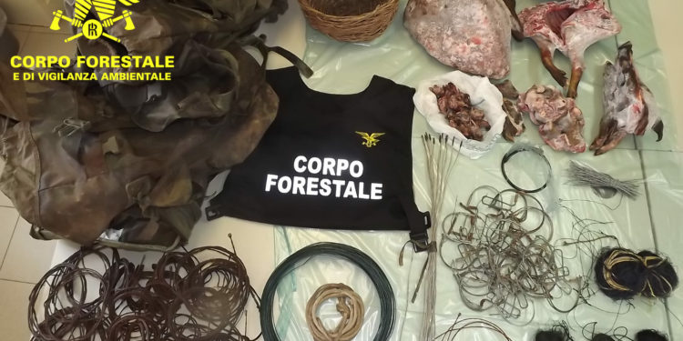 Il Corpo forestale ha denunciato due bracconieri intenti a catturare cervi e cinghiali nel parco di Gutturu Mannu