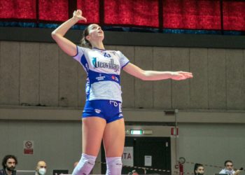 Un’Hermaea incerottata attende la visita di Busto Arsizio