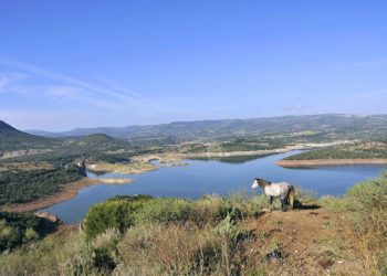 GAL, dal dopo-Covid nuove opportunità per il territorio del Logudoro Goceano