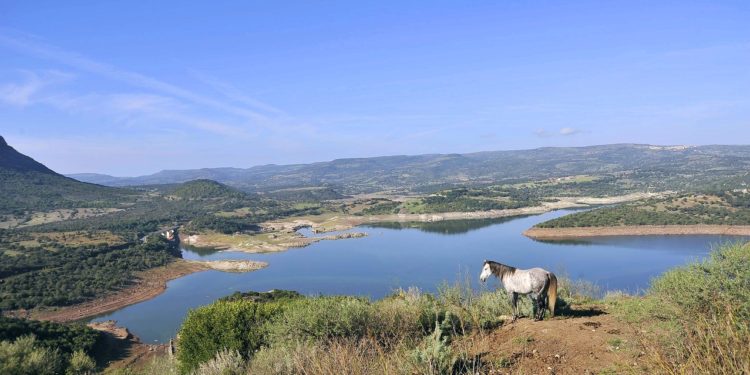 GAL, dal dopo-Covid nuove opportunità per il territorio del Logudoro Goceano