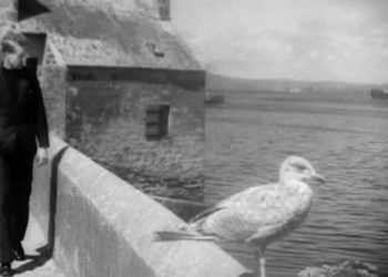 Emigrazione e pastorizia nelle Shetland: due film pionieristici di Jenny Gilbertson presentati on-line dalla regista Shona Main