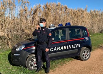 Corpo forestale e Carabinieri insieme per tenere sotto controllo il fenomeno dell’uccellagione nel Sud Sardegna