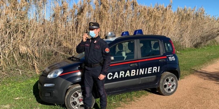 Corpo forestale e Carabinieri insieme per tenere sotto controllo il fenomeno dell’uccellagione nel Sud Sardegna