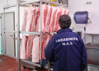 I carabinieri del NAS di Cagliari hanno sanzionato una macelleria per l’esposizione in vendita di maialetti non tracciati