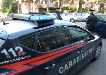 I carabinieri di Decimomannu hanno denunciato a piede libero per furto aggravato, un 22enne algerino
