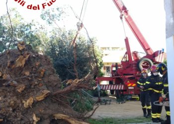 Raffiche di vento in Gallura, intervengono i vigili del fuoco