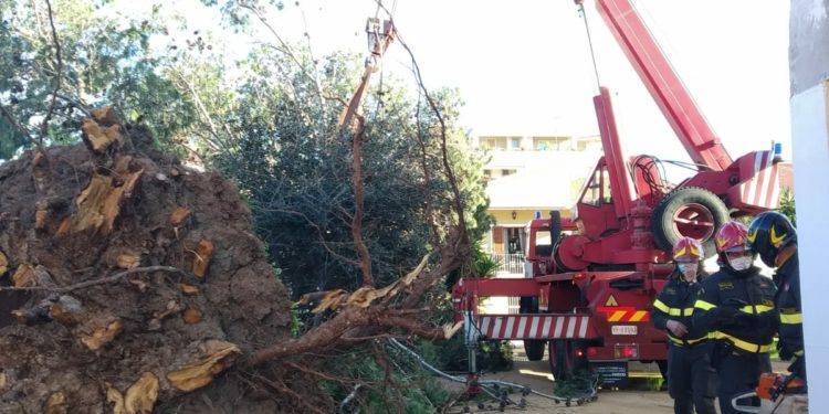 Raffiche di vento in Gallura, intervengono i vigili del fuoco