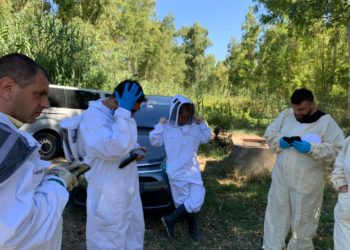 San Sperate. La denuncia di Op Terrantiga: «In 20 anni la Sardegna ha perso l’80% del suo miele»