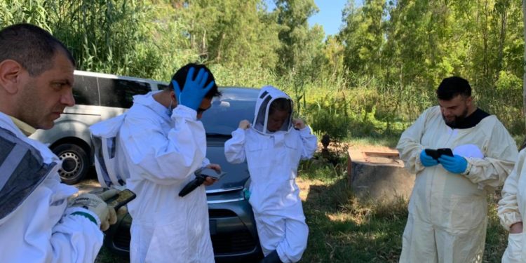 San Sperate. La denuncia di Op Terrantiga: «In 20 anni la Sardegna ha perso l’80% del suo miele»