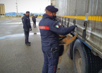 I carabinieri di Uta hanno denunciato a piede libero un 32enne marocchino per porto abusivo di un’arma impropria