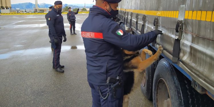 I carabinieri di Uta hanno denunciato a piede libero un 32enne marocchino per porto abusivo di un’arma impropria