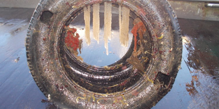 Allarme rifiuti nei fondali marini, a lanciarlo anche l’Università di Cagliari