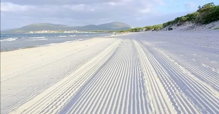 Alghero. Giovanni Monti (Gruppo Misto): «A brevissimo la rimozione della posidonia da San Giovanni e su tutto il lido»