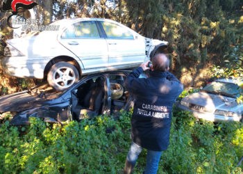 I carabinieri del NOE di Cagliari, a Villasor, hanno arrestato un 32enne per gravi reati contro l’ambiente
