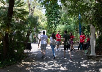 IED Cagliari con la consulenza dell’Orto Botanico dell’Università di Cagliari sceglie il trattamento biologico per sconfiggere il punteruolo rosso nel parco di Villa Satta