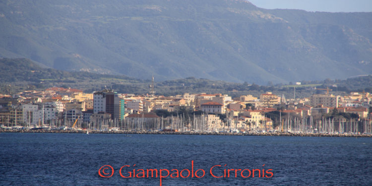 Forestazione urbana: Alghero investe sull’ambiente